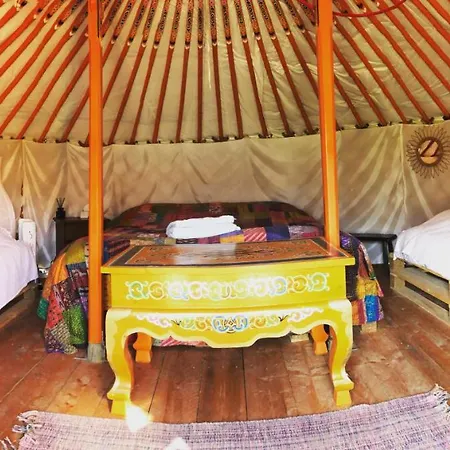 Bed & Breakfast Les Colombines Hombleux